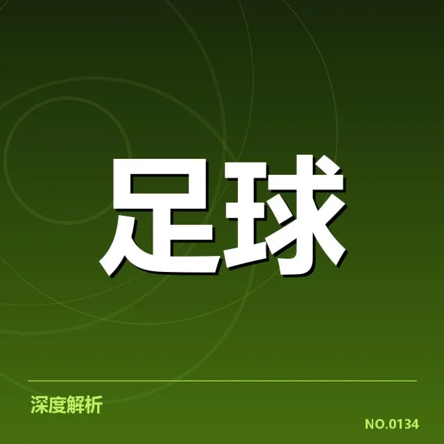 已确认的德国杯球迷现场行为与习俗