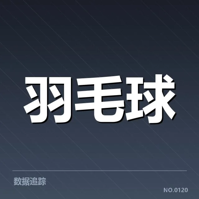 韩国女双后场杀球:选手实力与战术选择的关键考量